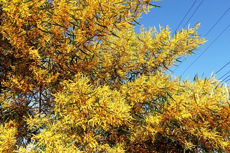 Ảnh slide minh họa 5